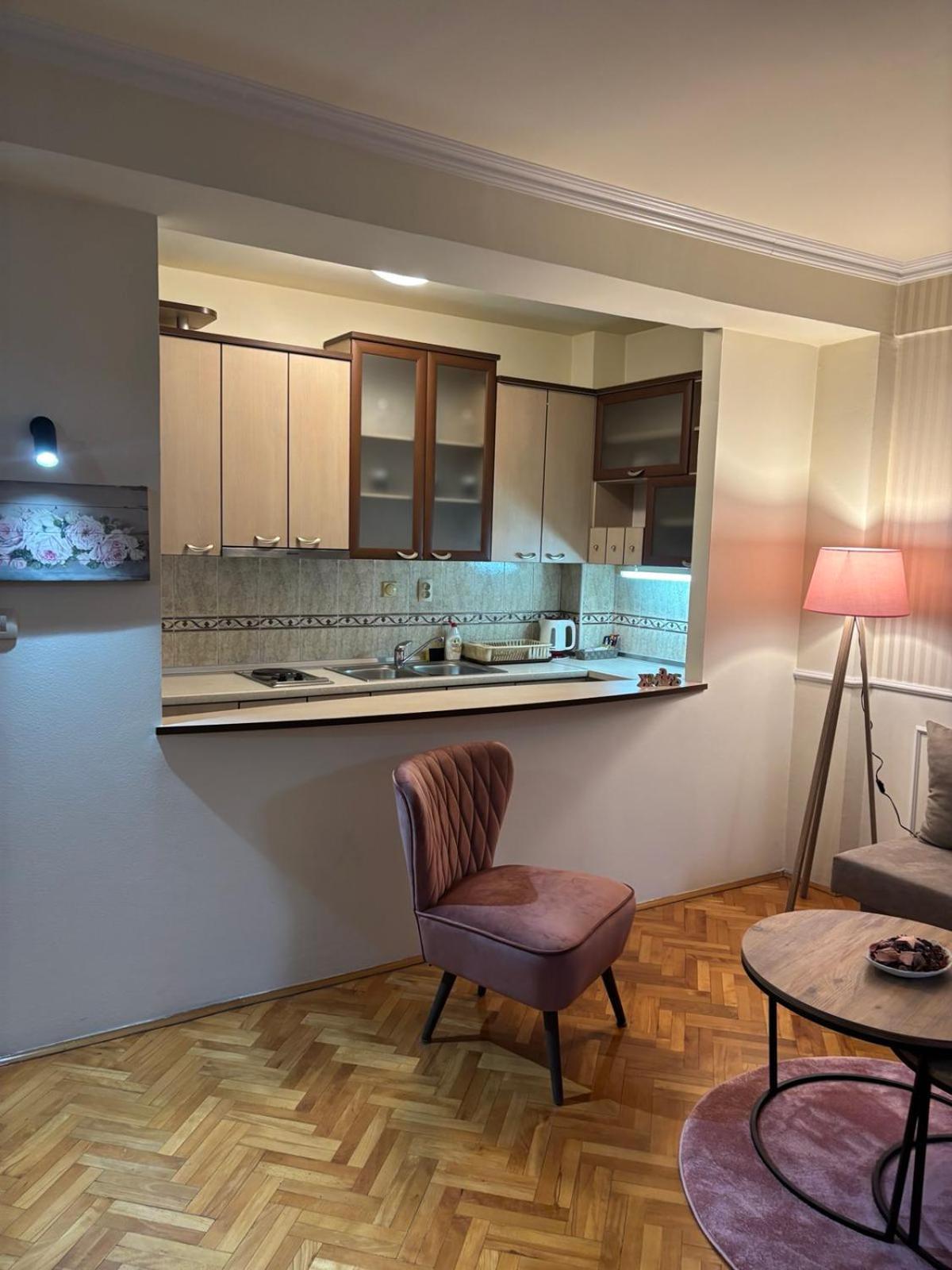 Lovely Square Apartment Purple Velvet 斯科普里 客房 照片